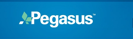 PEGASUS GROUP