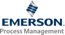 Emerson Process Management (SA)