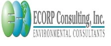 ECORP Consulting Inc