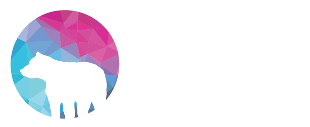 Black Bear Energy Inc