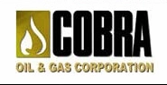 Cobra Oil & Gas Corp