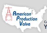 American Petrochem Valve