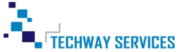  Techway Services, Inc.