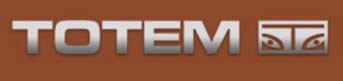 Totem Steel International, Inc