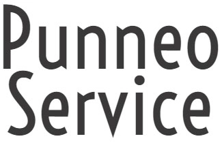 PUNNEOS SERVICE INC