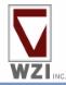 WZI Inc