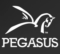 Pegasus Skip Hire Ltd