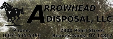 Arrowhead Disposal