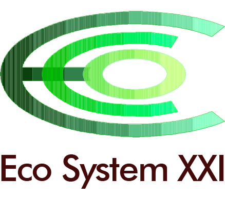 ECO SYSTEM XXI