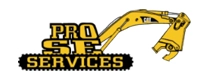 Pro SE Services, Inc