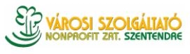 Városi Szolgáltató Nonprofit Zrt