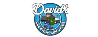 David's Cleanup Services LLC