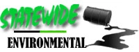 Statewide Environmental Services