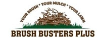 Brush Busters Plus