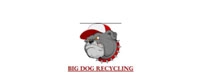 Big Dog Recycling Llc