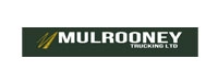 Mulrooney Group LTD